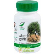 Mastic gum 60 CPS – Pro Natura